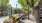 Outdoor dining and shops